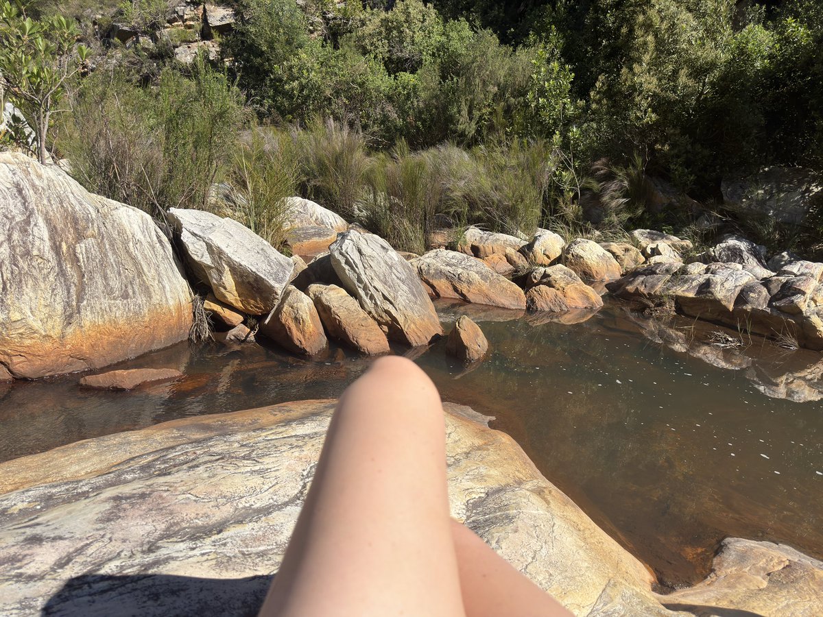 Prettylittesin's tweet photo. Nature! Love me a good Hike! 🥾🌳
#fyp #hiking #nature #outdoors #southafrica https://t.co/uAMFTd2fvE