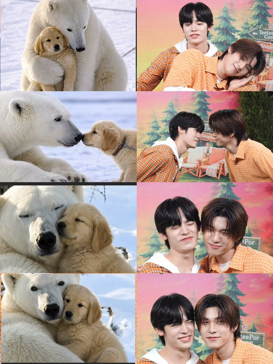 bennnzin's tweet photo. พฤติกรรม คน ปฟก อะเนาะะ 🫪

SHOPEE FIRSTDATE TEETEEPOR

#ShopeeLivexTeeteePor https://t.co/53oqesUQlq