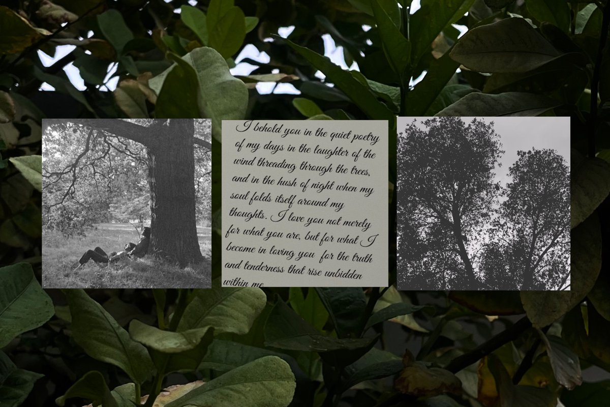 theartmuseer's tweet photo. “We found a little shade, and stayed.” https://t.co/ad53gUoW2F