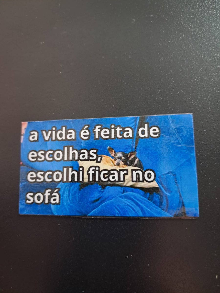 LaisBarroques's tweet photo. @togethertogther Aniversário da minha cadelinha cada um ganhava um diferente https://t.co/2rlHdPy8HB