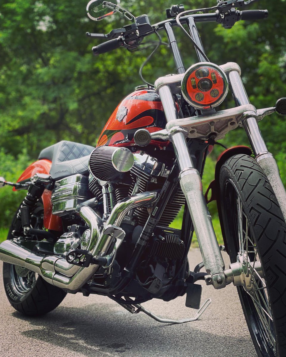 DungPaparelli's tweet photo. Gave her a quick bath to get raid of some road grime. Then snapped a few pics. https://t.co/Us9F8XUi2U