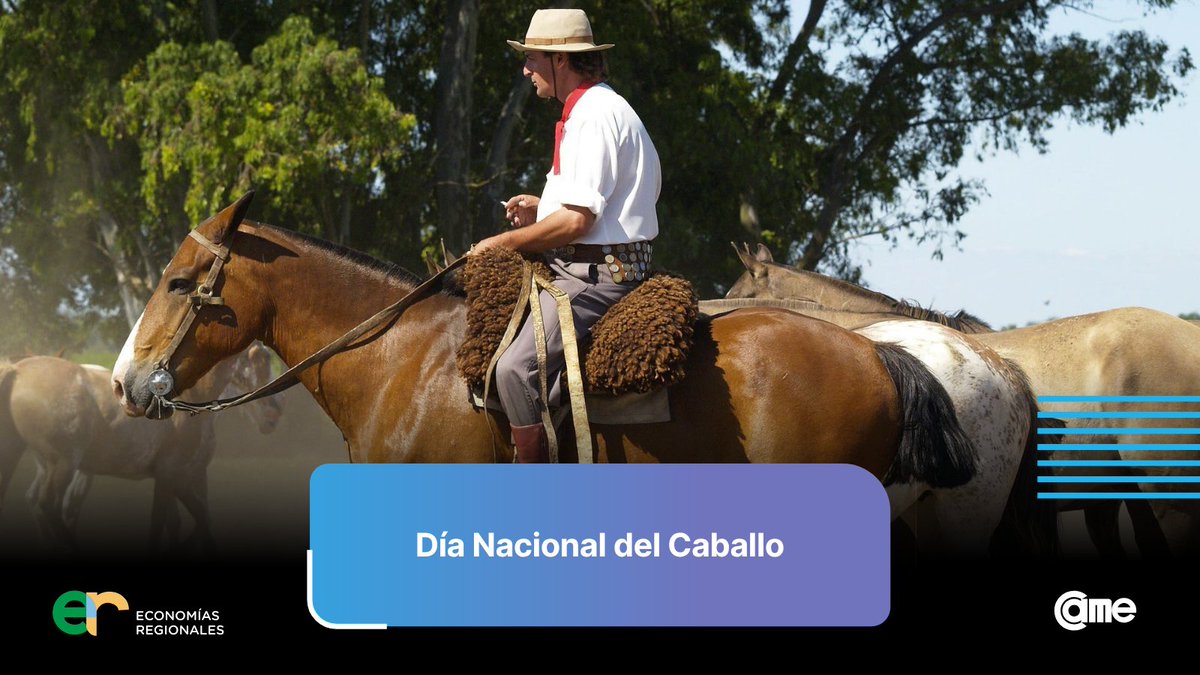 CAMEecoregional's tweet photo. 🐴🇦🇷 [EFEMÉRIDE] Hoy celebramos el Día Nacional del Caballo.

Un animal profundamente ligado a nuestra historia, nuestra cultura y al desarrollo de las actividades agropecuarias de nuestro país.

¡Feliz día!

#EconomíasRegionales https://t.co/zGiLRXubYd