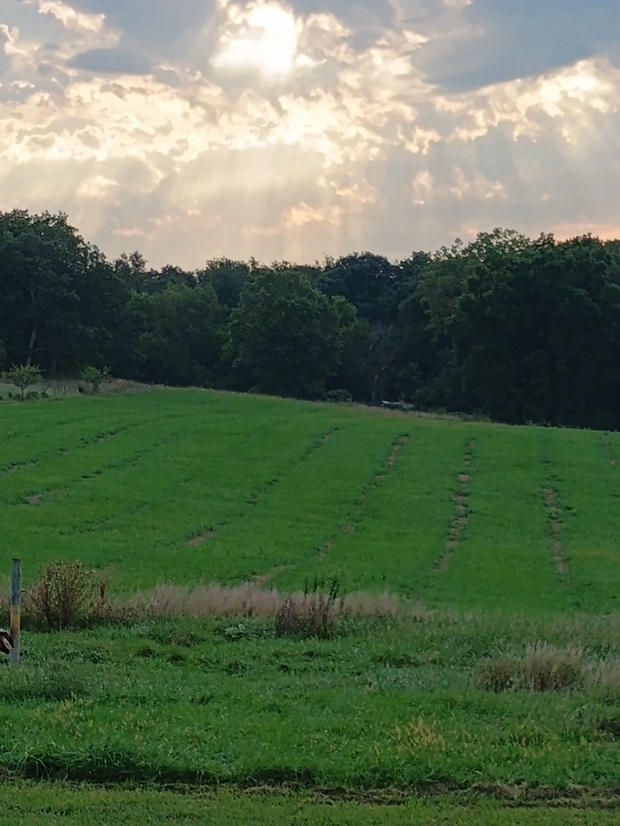 sagriesch's tweet photo. It's a beautiful day. Open fields, sunlight through the clouds, no data center in sight. Let's keep it that way.  No data centers! https://t.co/CgydkBCxYe
