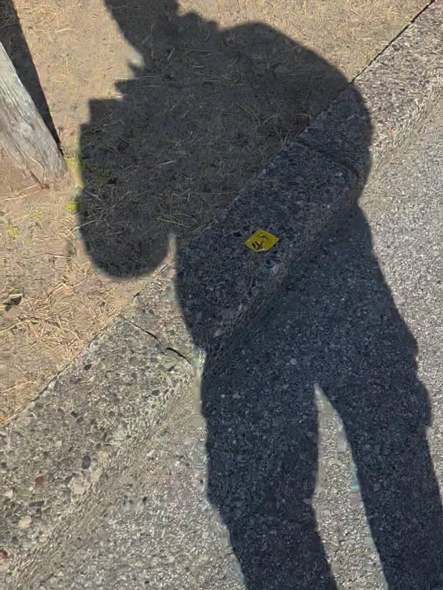 FredericTeqzlp's tweet photo. If it’s all about the riding experience, surfskates are the clear choice. https://t.co/H9SlBf2mOw