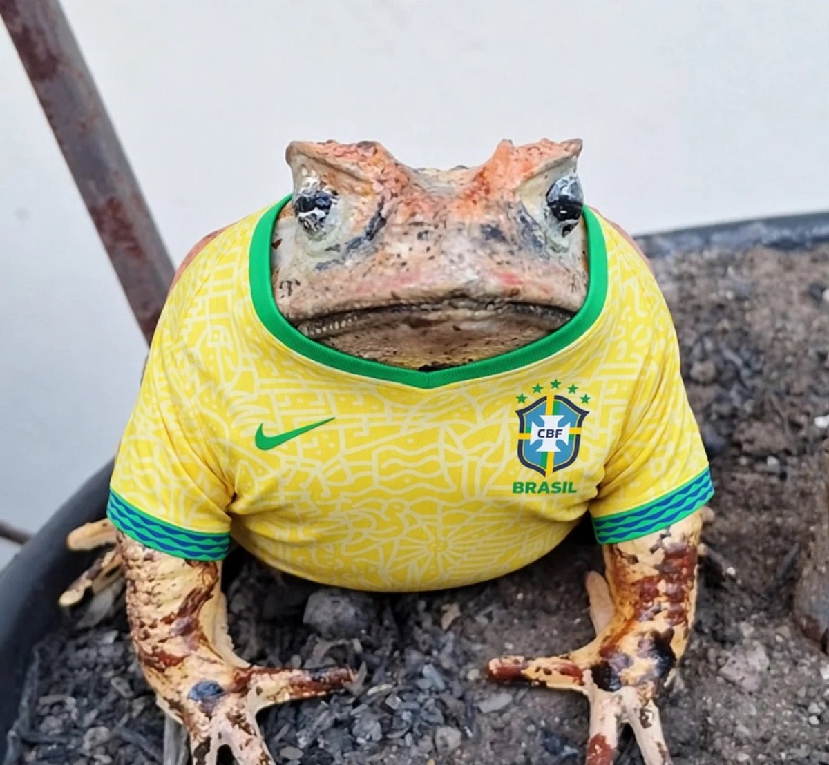 TelevisorT2's tweet photo. @the_date_tokyo Simpático, eu tenho um também https://t.co/13fbkLqan4