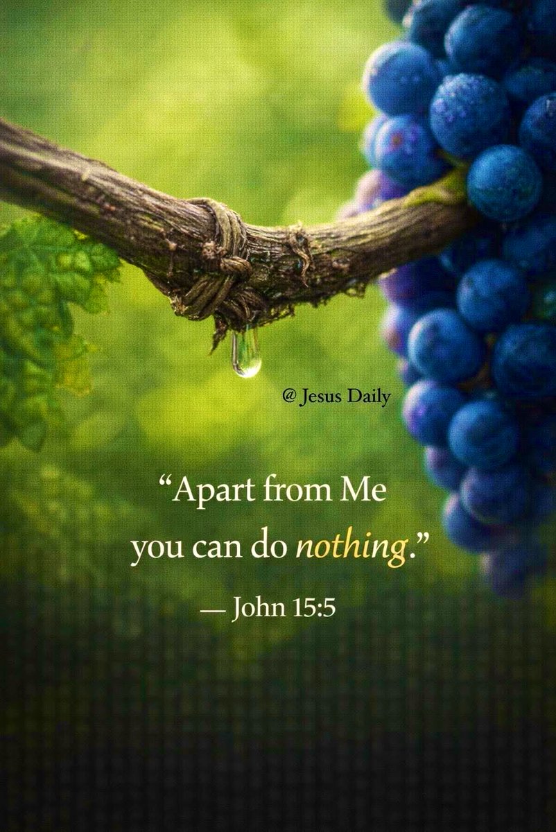 sprec61551's tweet photo. John 15:5
I am the vine, ye are the branches: He that abideth in Me, and I in him, the same bringeth forth much fruit: for without Me ye can do nothing. https://t.co/LsralFh703