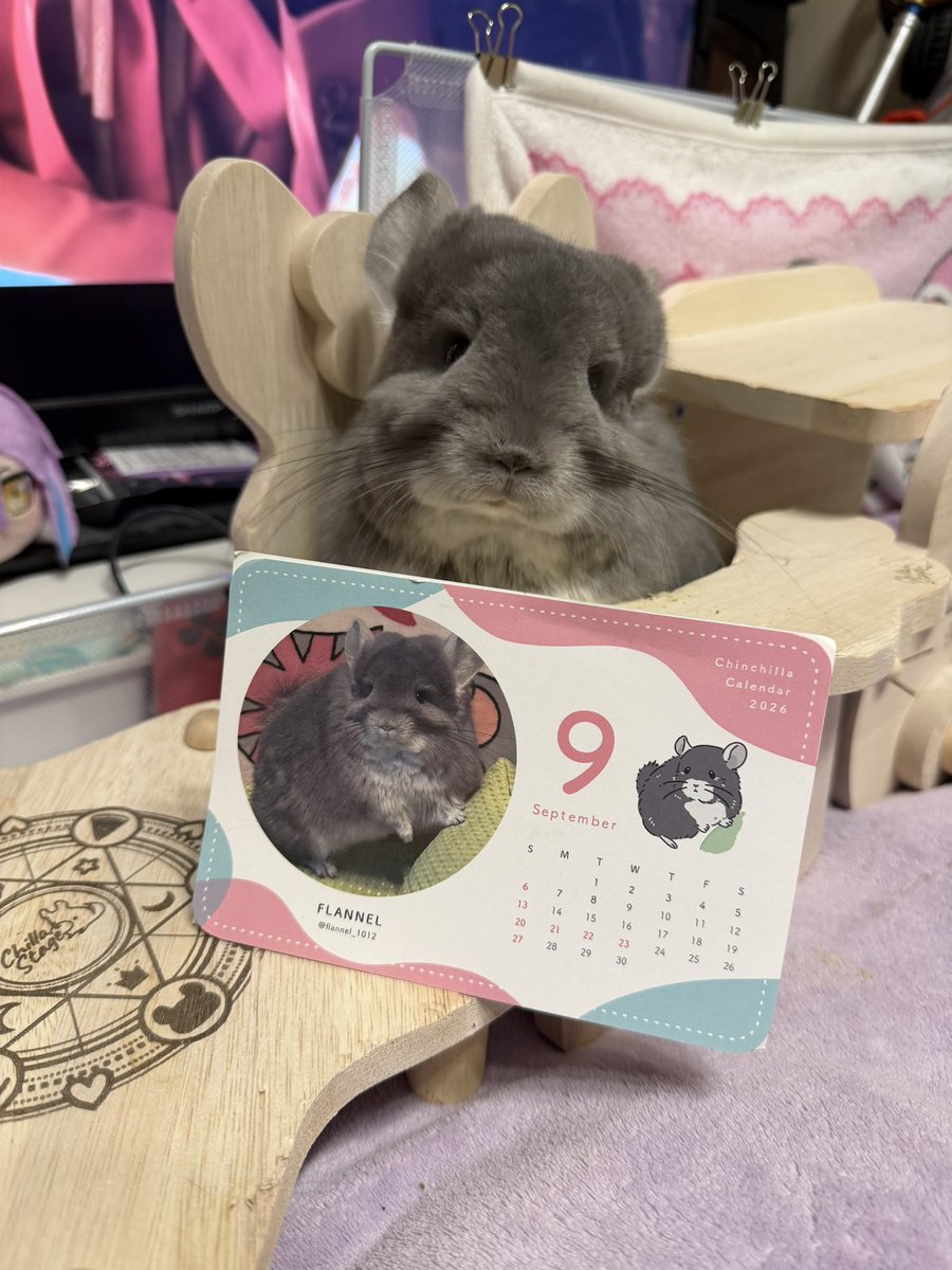 flannel_1012's tweet photo. ╲9 ｶﾞﾂ ﾀﾞﾖ 😉💞 ╱

@chinchira_mocha さん
 に作成頂いたカレンダーがふらんねるちゃん担当月です☺️❣️💫

動画ミスってて上げ直し🙇🏻‍♀️😭🙏🏻 https://t.co/YBwEOcf0ce