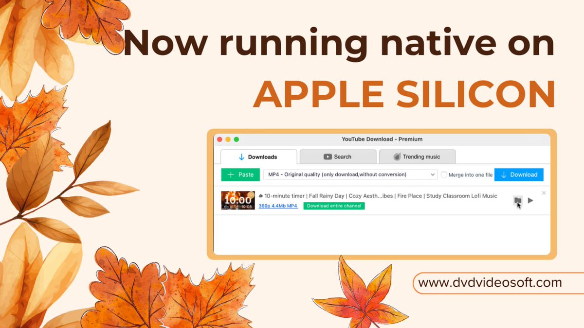 DVDVideoSoft's tweet photo. #Autumn is here, and the ARM-based version of our Mac apps is now available!

✅ Apple Silicon (M1/M2/M3/M4)? Download it right now to enjoy smoother performance.
🛠️ Intel-based Mac? Email us, and we’ll help you out.

Thank you for staying with #DVDVideoSoft! 💙 https://t.co/3TKcSYyM3U