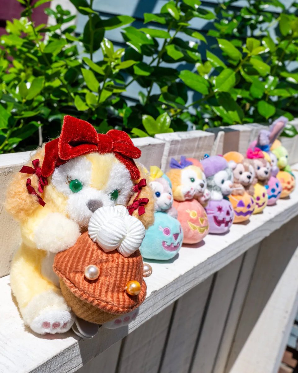 MezzoMikiD's tweet photo. 赤いベロアリボン姿がかわいいクッキー・アン！
東京ディズニーシー
「クッキー・アンのハロウィーン・スウィートサプライズ」グッズ販売中☆
https://t.co/j9FIHtbxrG https://t.co/2PUudKBDPj