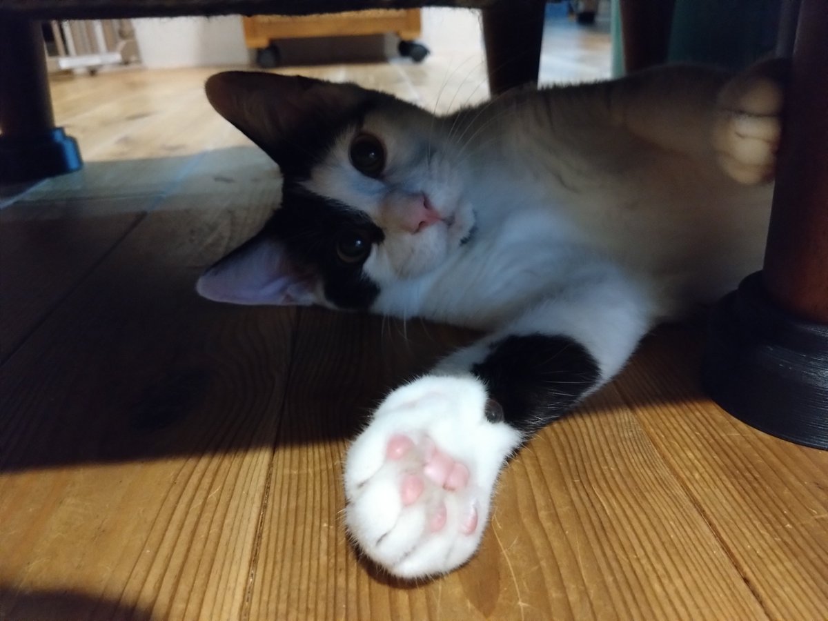 kurobu962's tweet photo. 69日目
よっ https://t.co/EDuqSnJpJt