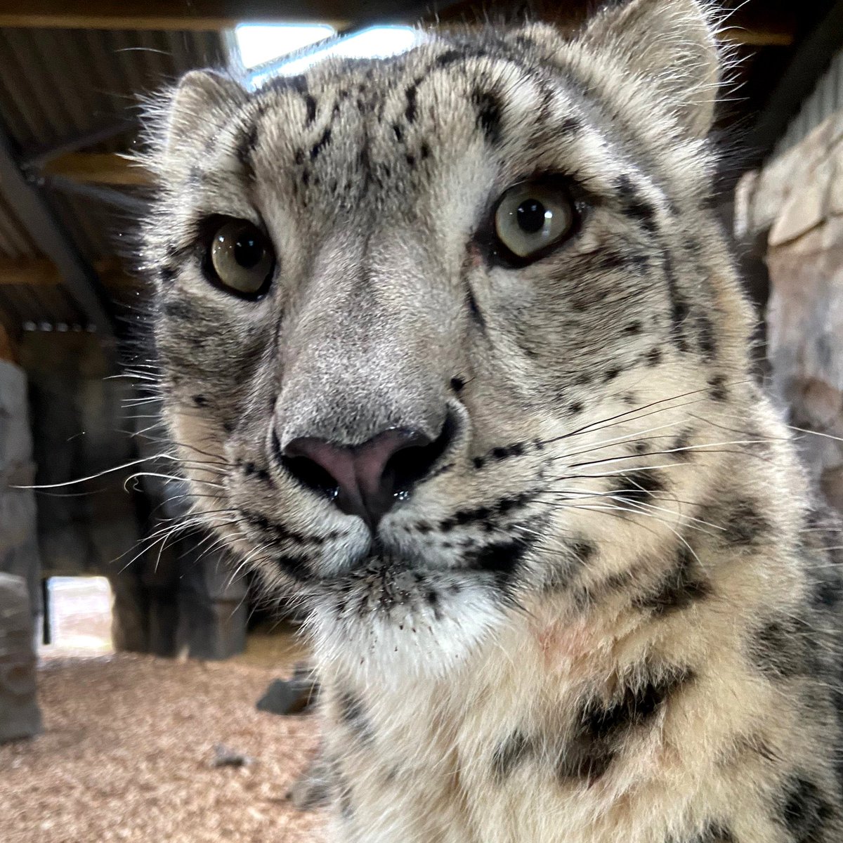 BambooBurr's tweet photo. HAPPY SNEPTEMBER EVERYONE! https://t.co/wz3ZCchF6d