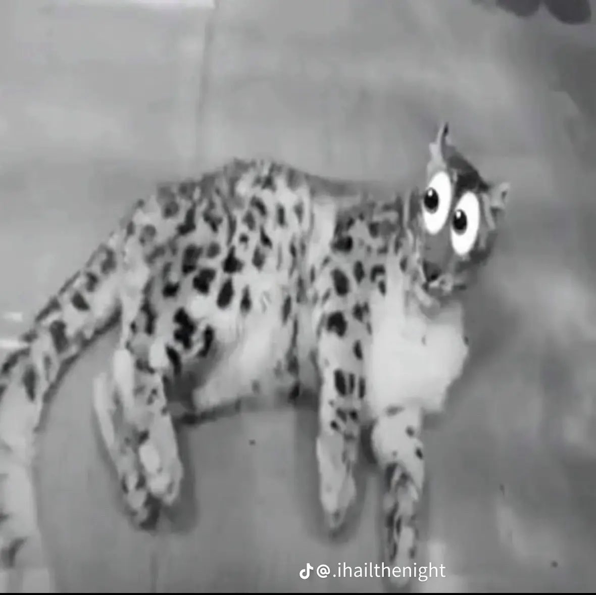 BambooBurr's tweet photo. HAPPY SNEPTEMBER EVERYONE! https://t.co/wz3ZCchF6d