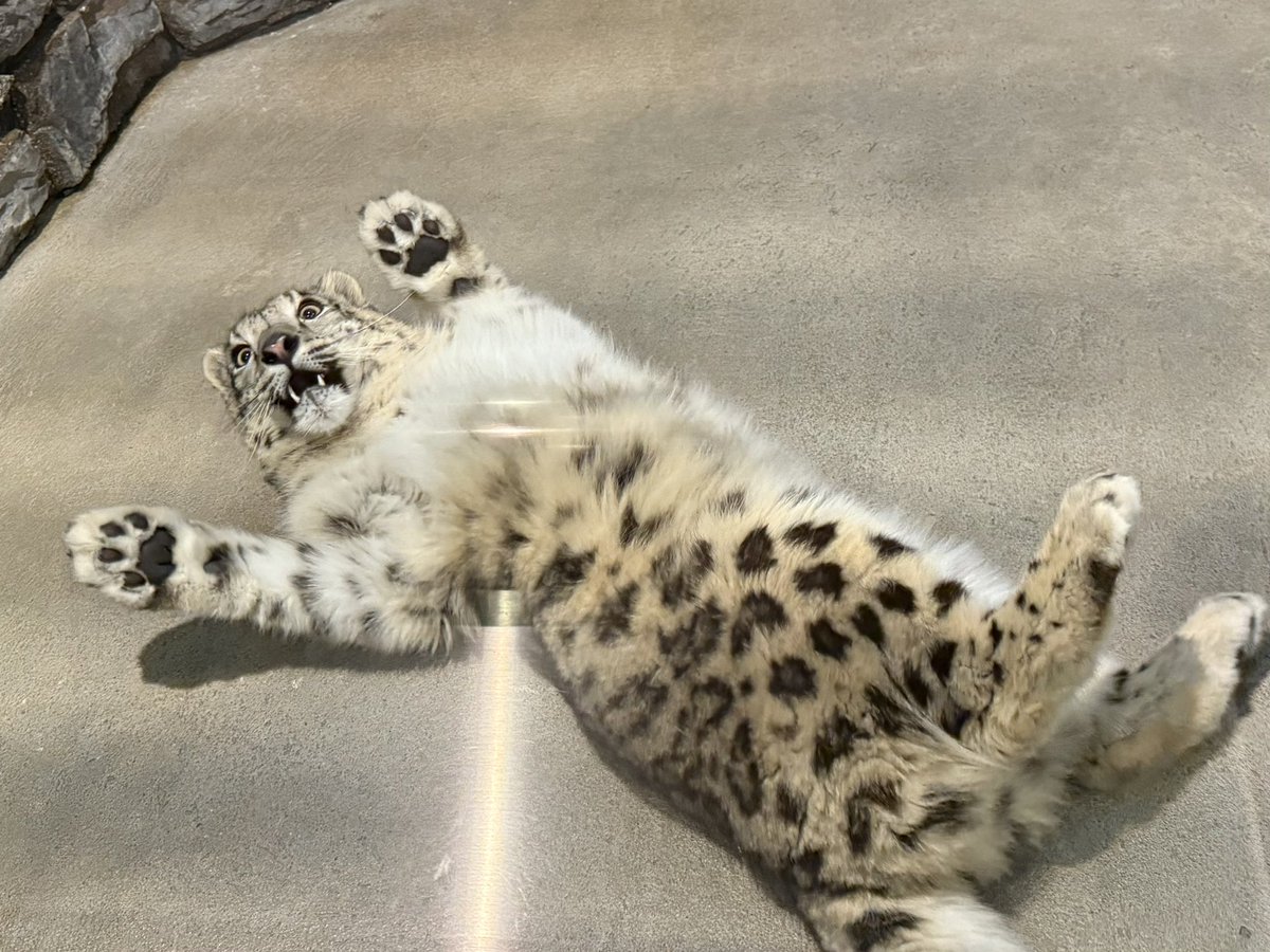 BambooBurr's tweet photo. HAPPY SNEPTEMBER EVERYONE! https://t.co/wz3ZCchF6d