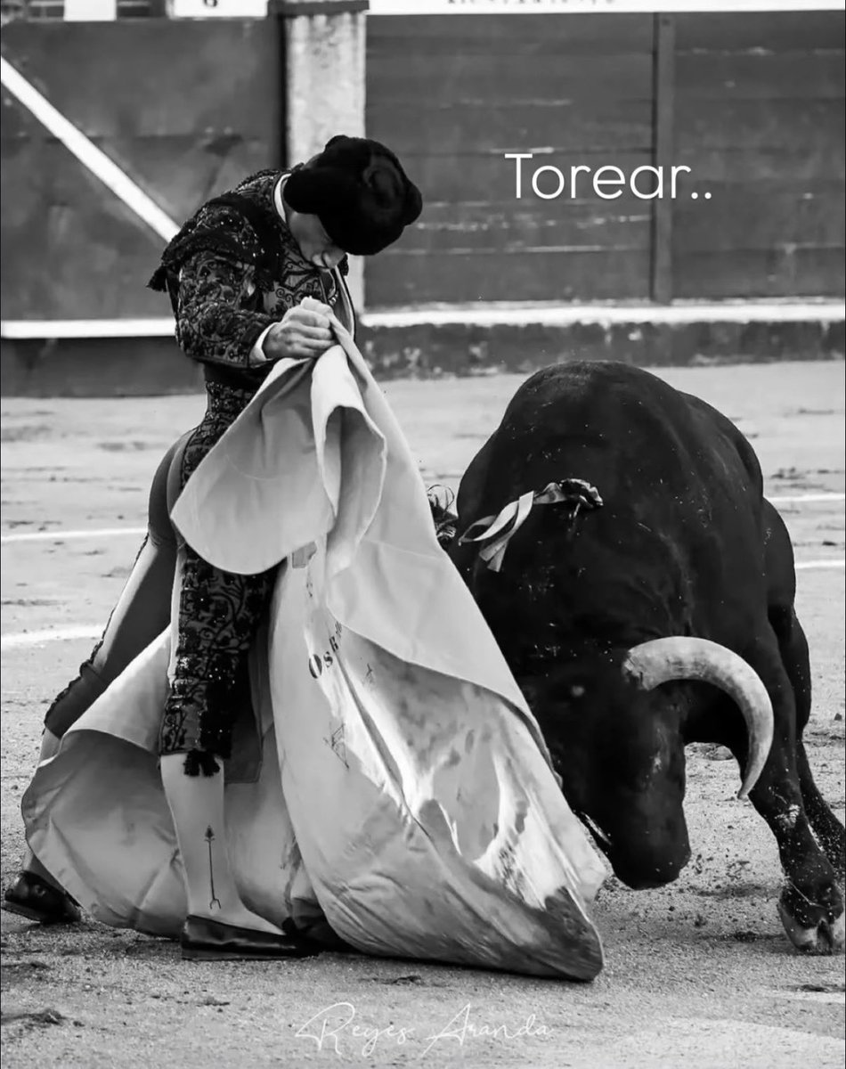 jesusdealba2's tweet photo. Bendita Locura…
Puro Osornio, Puro México.🇲🇽 https://t.co/gzwlldipsC