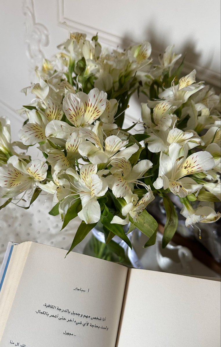 r24ill's tweet photo. New chapter, new beginnings 🌷 https://t.co/yDgP8caqCe
