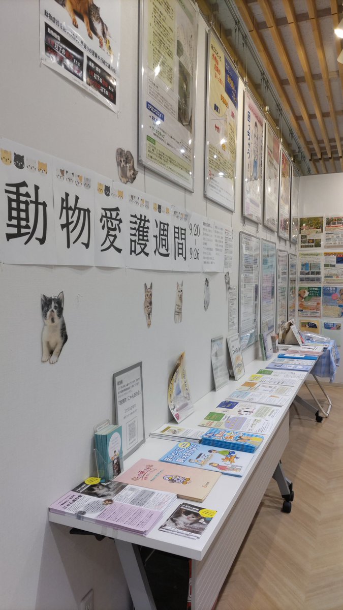 2015104ma328's tweet photo. ９月定例会が本日より１８日までの日程で始まりました。一般質問は４日の２番目。車中避難、在宅避難などの方をどのように把握するのか、その為の提案をさせていただきます。ネット中継もありますのでぜひ視聴して下さい☺
#埼玉県
#吉見町
# https://t.co/P0Q4DQ71GL