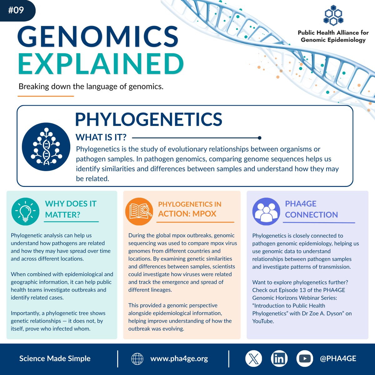 pha4ge's tweet photo. 🧬 This edition of #GenomicsExplained explores phylogenetics and how genomic comparisons can help investigate relationships and patterns of spread.

🎥 Explore more in Episode 13 of #GenomicHorizons with @msmicrobiocode: https://t.co/VIOklqAijz https://t.co/7DmgH05JHE