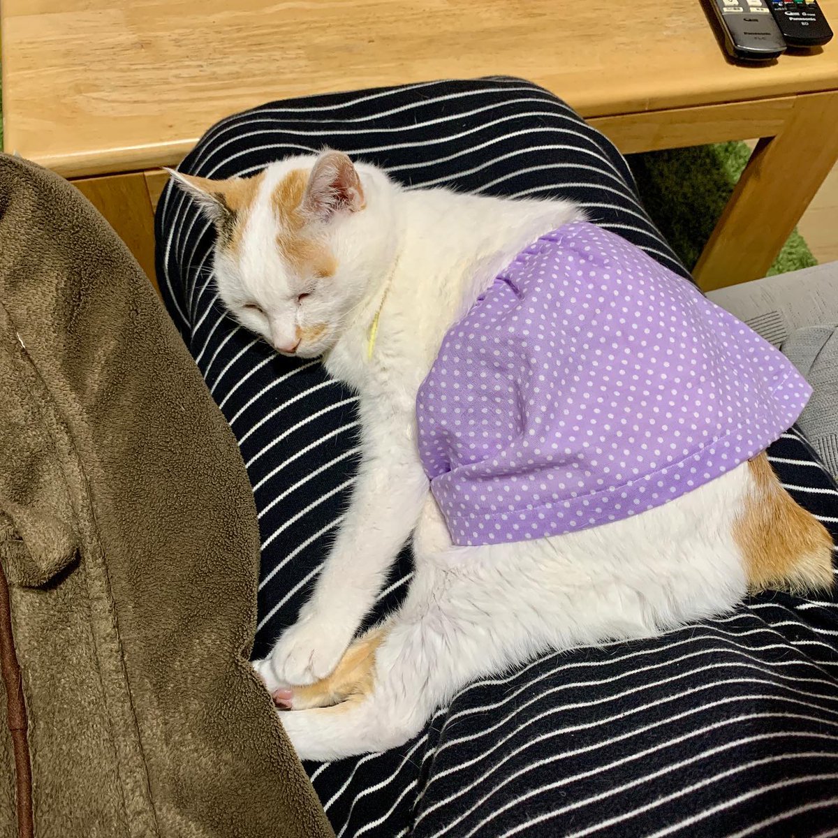 AllysonTodjpd's tweet photo. 時間の流れを少しだけ間引きして、凪のような感覚の中に身を置いてみる。正解なんて、最初からどこにもなかったのかもしれない。 https://t.co/CdSKtsG30P