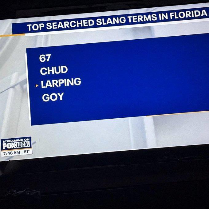 Goy__RH's tweet photo. We got some good goys down in Florida https://t.co/AywDjl045H