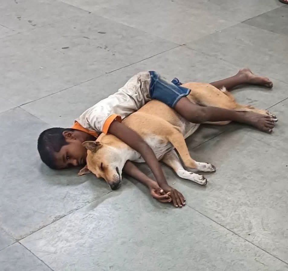 wikikolkataplus's tweet photo. ❤️ Some friendships need no words.

A child and his furry friend, sharing a quiet moment of comfort, trust and unconditional love. 🐕❤️👦

#Friendship #HumanAndDog #ChildhoodMoments #UnconditionalLove #DogLove #StreetStories #Kolkata #WikiKolkata https://t.co/xJOroJaPk5