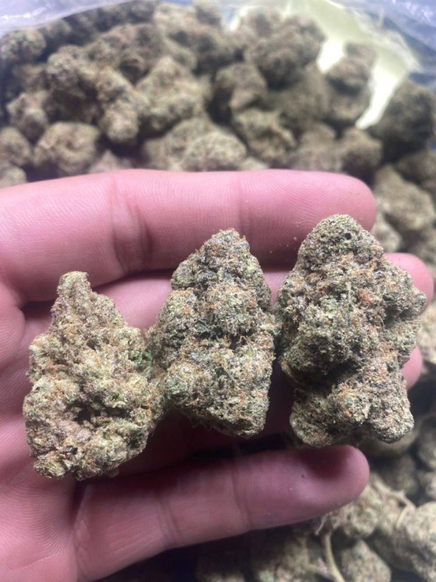 exoticf6's tweet photo. La Mintz 🔥💯✈️📦

$750
+1 7653352982

https://t.co/bOLgylnQAQ https://t.co/pUWlah8LSw