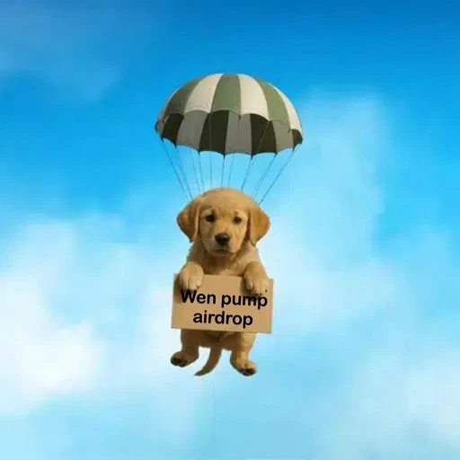 Chefdeploys's tweet photo. We are sending solcat its not even funny and it does not even help us either?

Why dont we use solanas logo to ask where the airdrop is.

Easy opportunity for us to ask 'wen pump airdrop' https://t.co/2qOyns6MQd