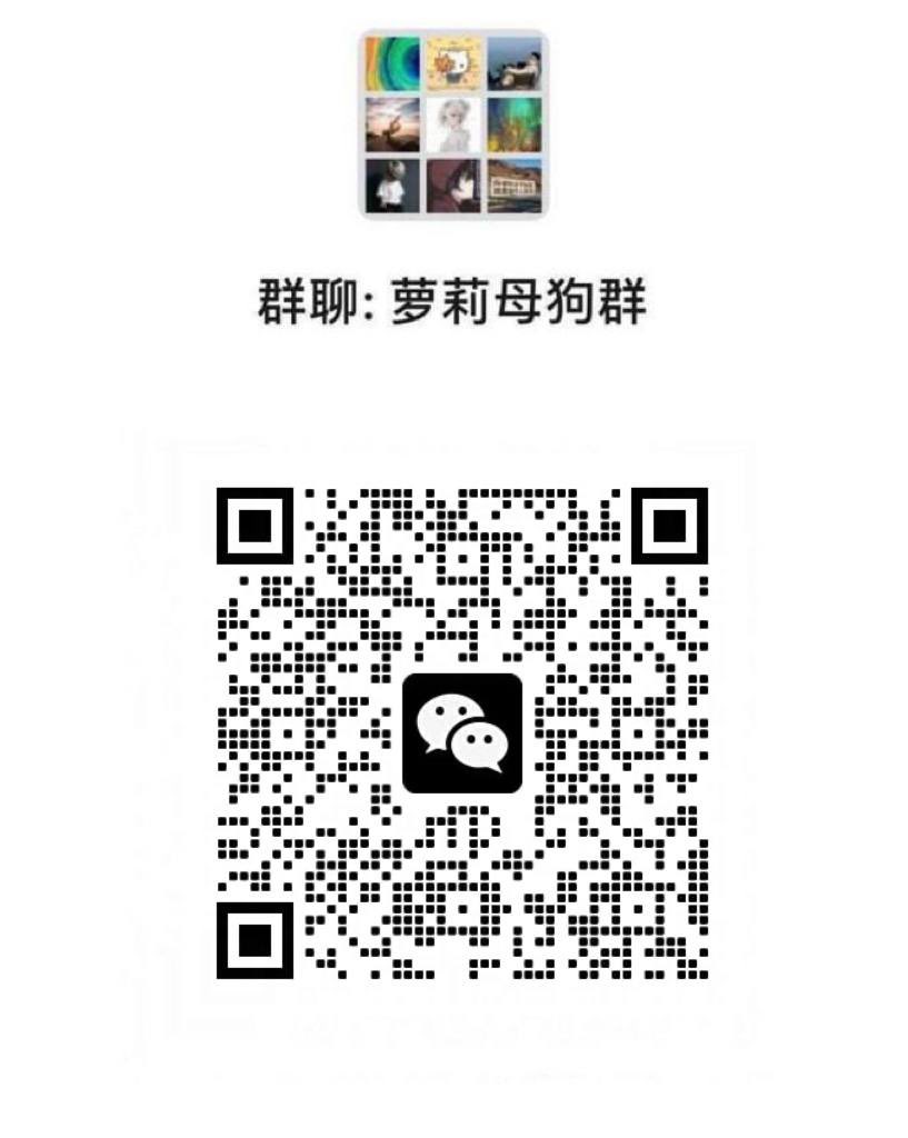BobbyeRodewn's tweet photo. 我想晚上真空超短裙出门，屁眼塞着拉珠，口罩连着假阳具。到无人公园摘下口罩插逼，边插边拽拉珠，浪叫引来陌生人把我按倒，拽出拉珠，狠狠操屁眼，操到失禁… #母狗 #发情 #自慰 #做爱6 https://t.co/SJSdfDxIMk