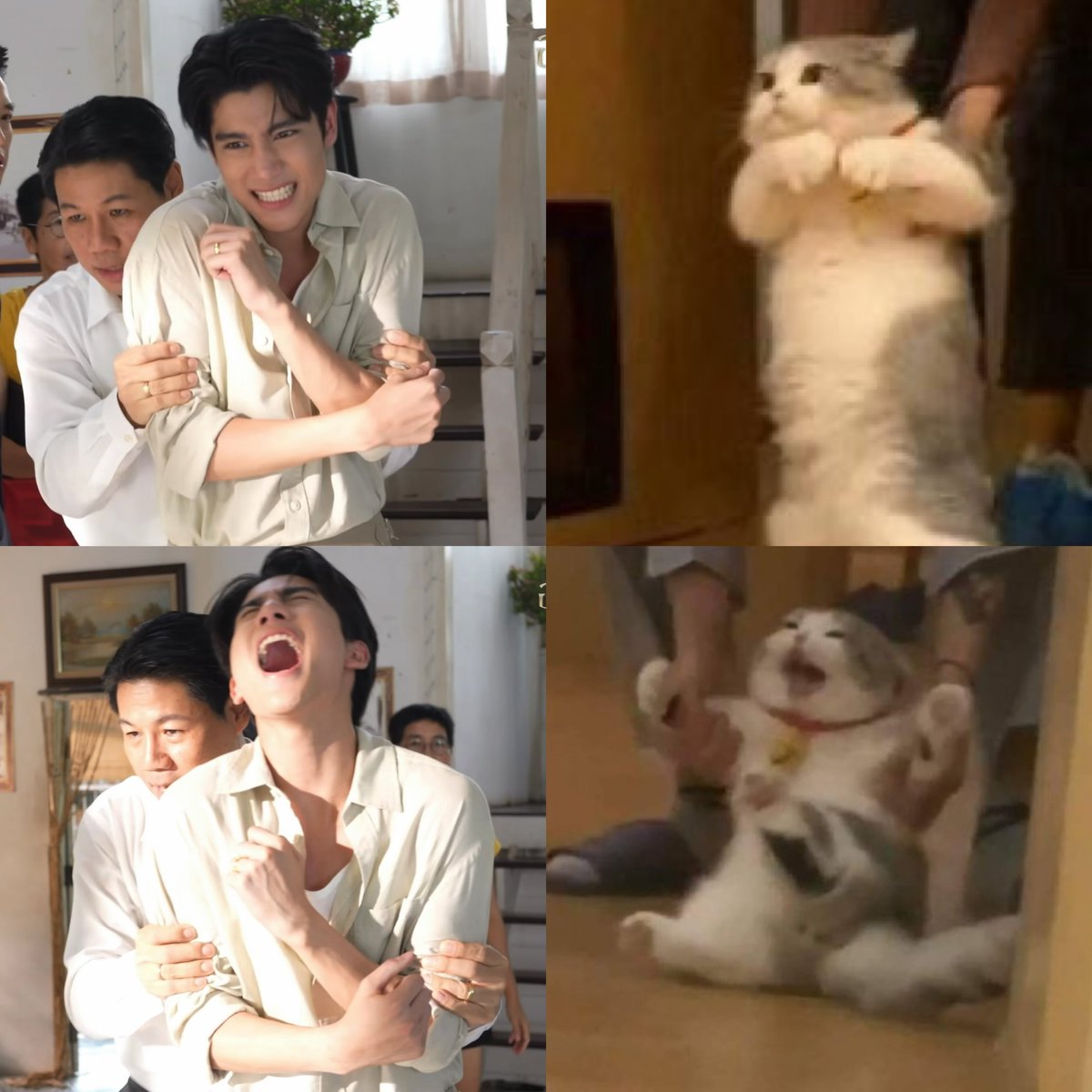 fluffywithbibii's tweet photo. น้องศาในสายตาจั้น https://t.co/6ky3pXtawg