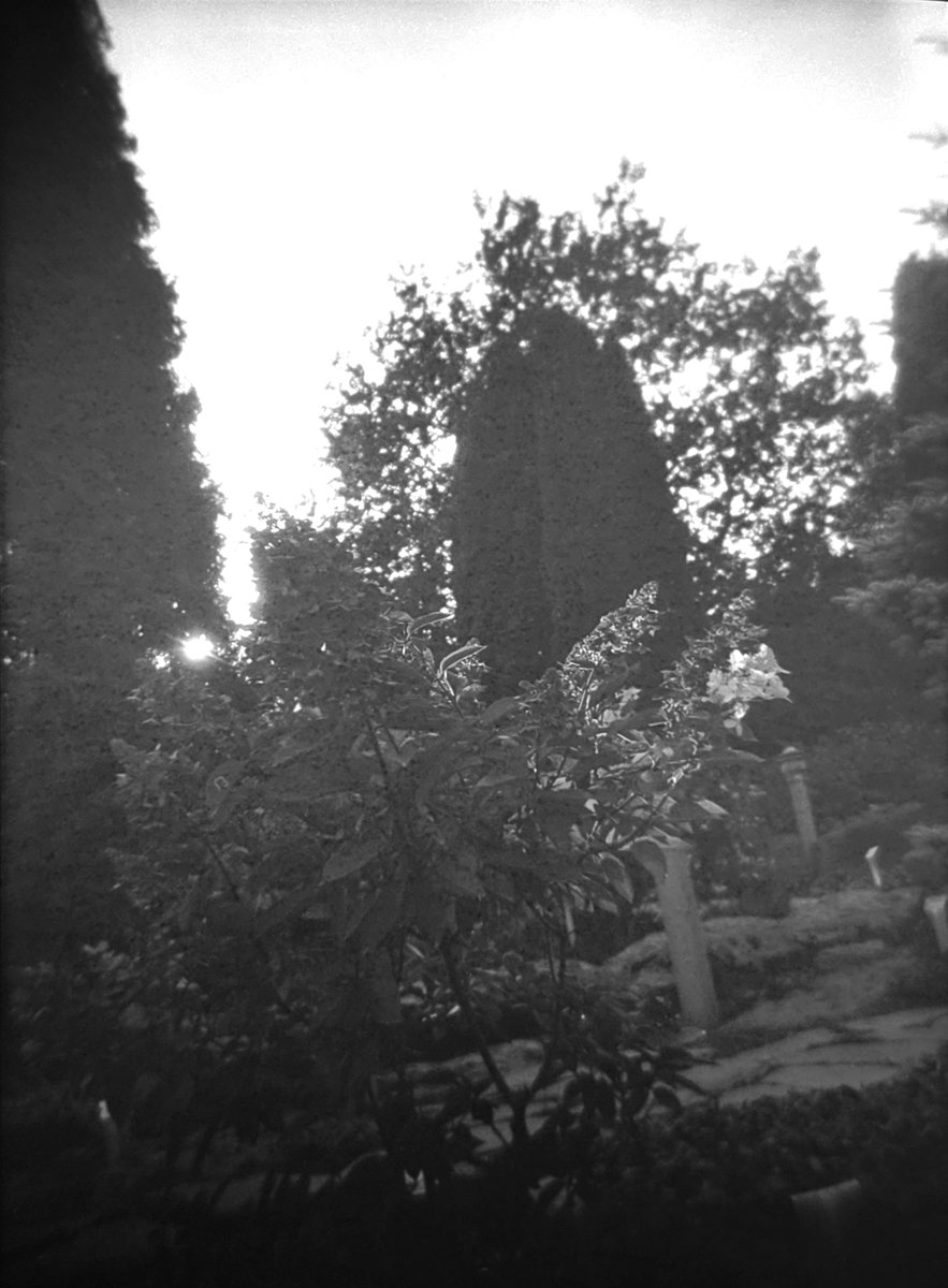 TommiJarvensivu's tweet photo. 📷 BeLoMo Etyde
🔍 60mm f11
🎞️ Ilford Ortho+ 80
🍶 Ilfotec HC, 20C, 1+47, 12min
📍 Pori, FI
#filmphoto
#StreetPhotography
#urbanphotography
#photography
#YouSawScenes
#ShootMoreFilm
#BelieveInFilm
#FilmIsNotDead
#写真好きな人と繋がりたい
#ファインダー越しの私の世界 https://t.co/hHrSQmFuUV