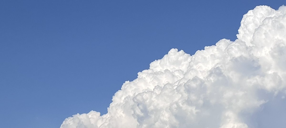 vvelasr's tweet photo. ☁�� ོ https://t.co/zTrmaVjiRj