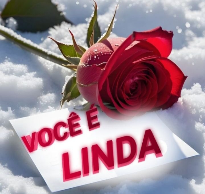 AgostinhoChaves's tweet photo. @scarletJoh60535 És lindíssima https://t.co/OUS31UdRBG