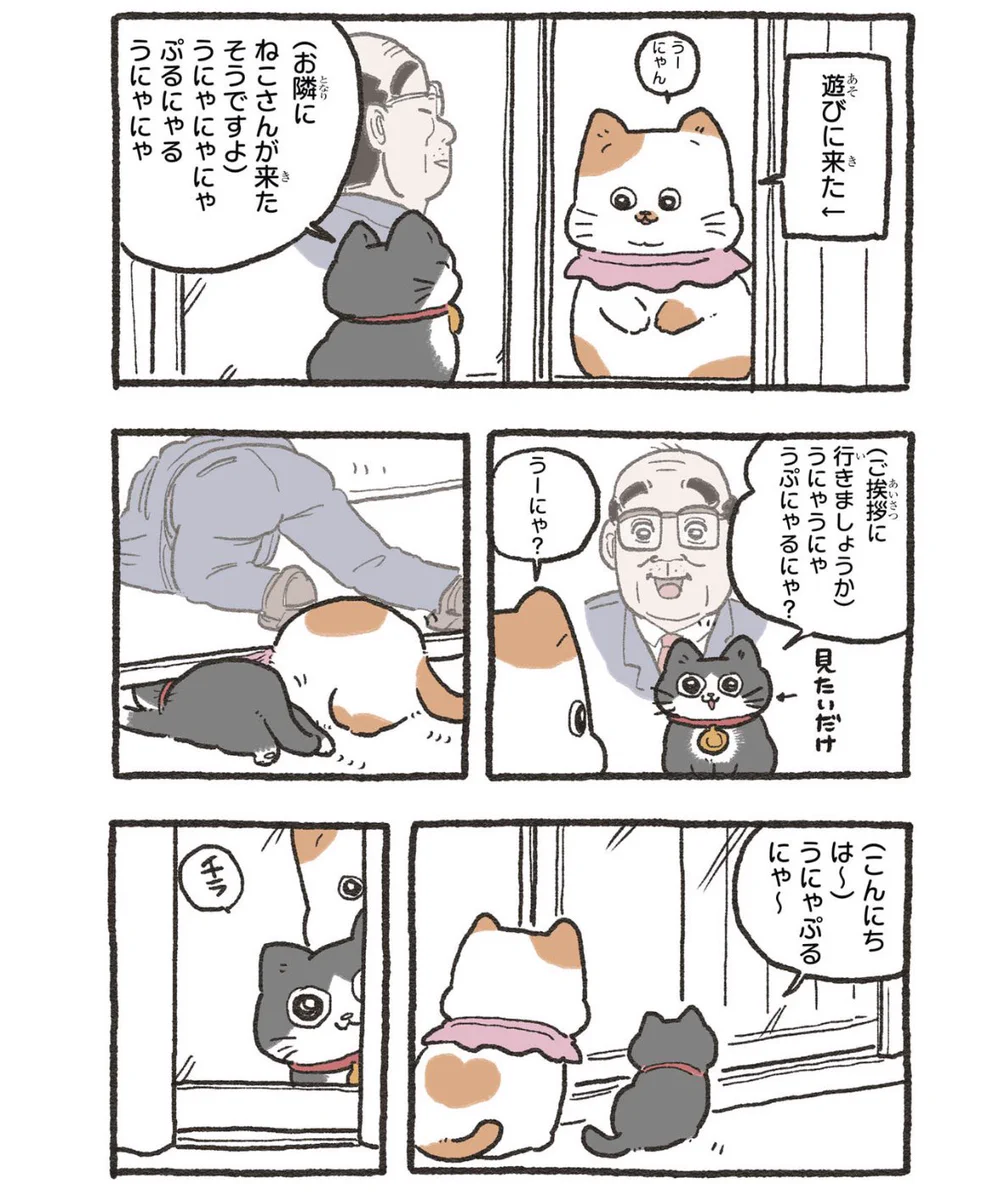 やじま@ねこおじ7・8巻発売中🐱 on X: 