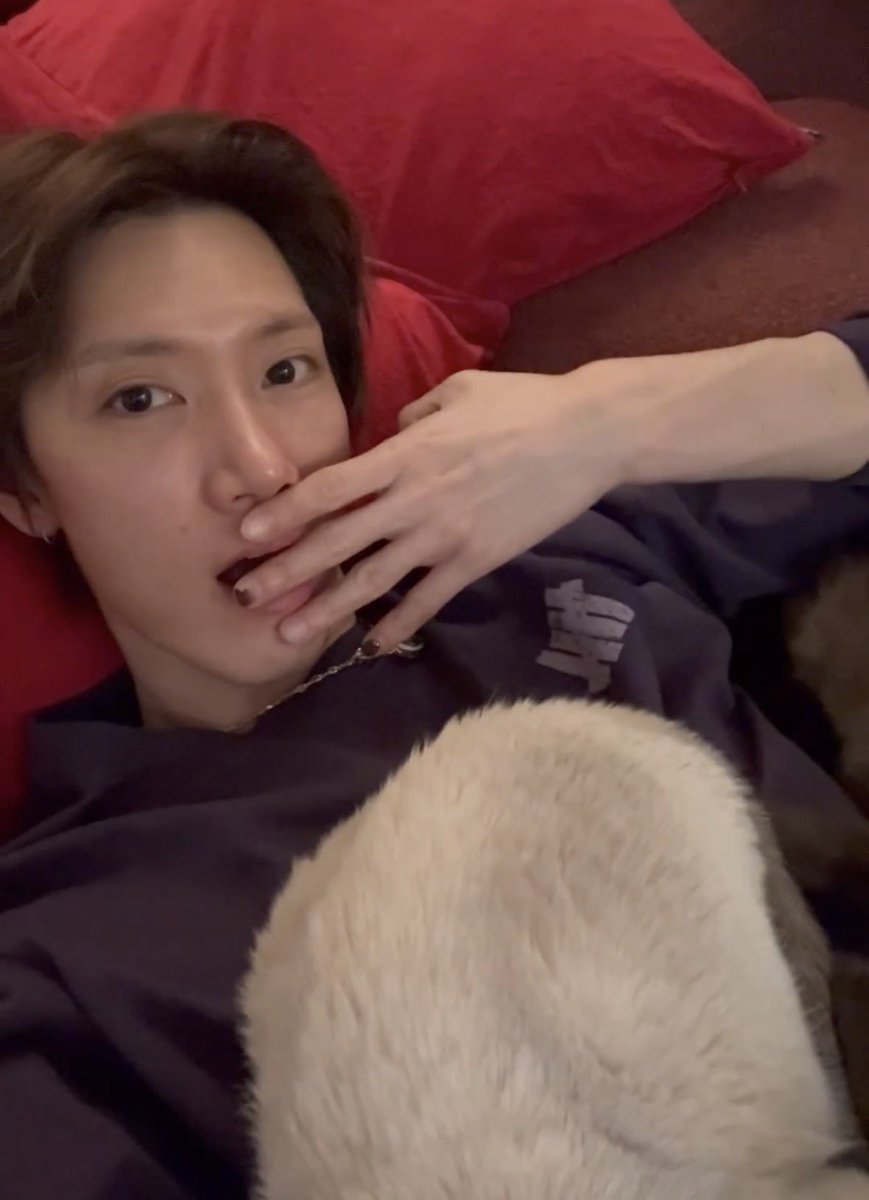 noojoeii_'s tweet photo. เลวี่นอนทับกับลีออนนอนทับ5555555555555655 https://t.co/82fUxdSUVN