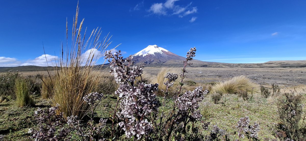 LuisDia04141689's tweet photo. Hoy amanecio tan hermoso el #Cotopaxi despejado y el #Rumiñahui con la luna sobre el 🌕 https://t.co/Yew9nwtpRr