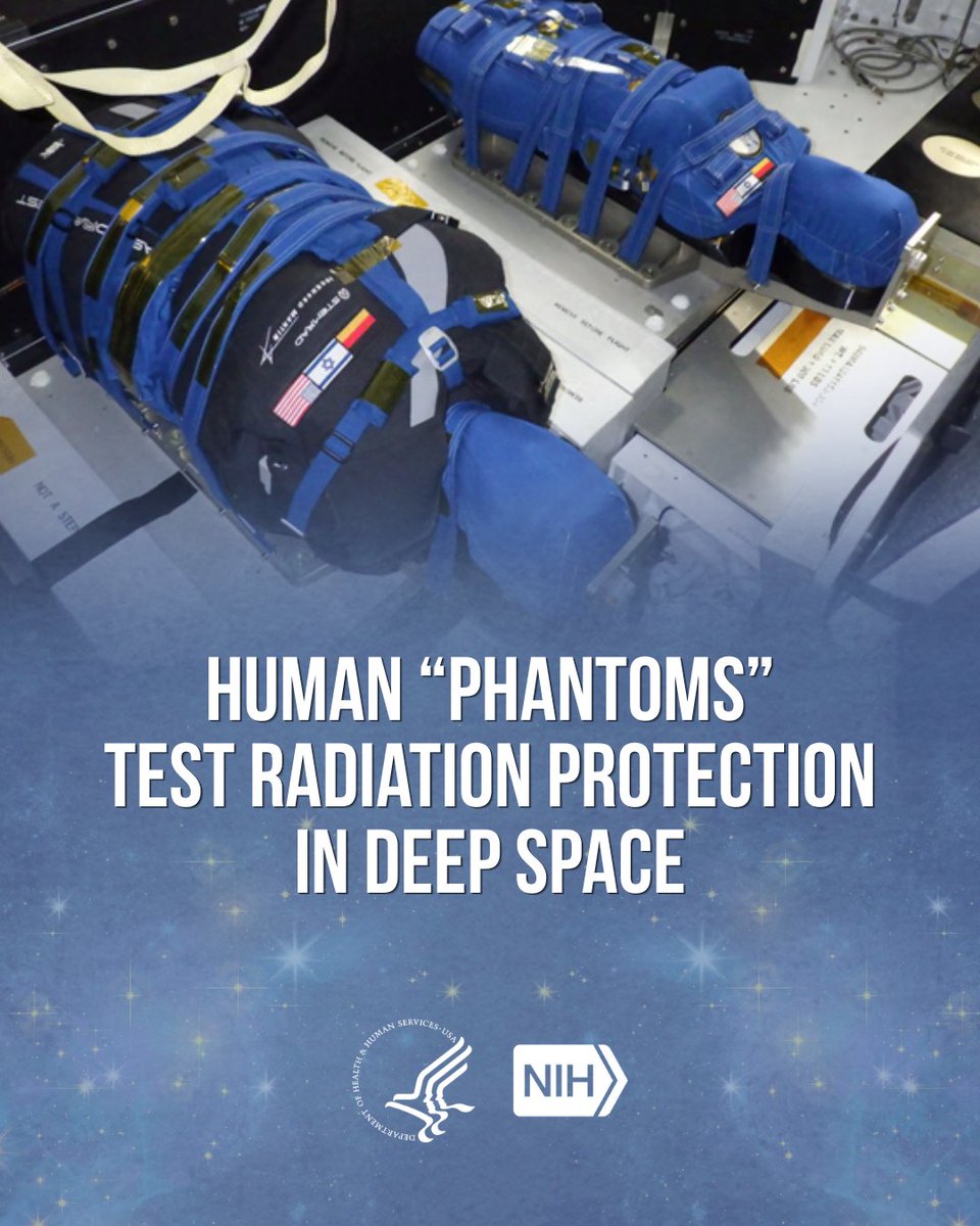 NIH_Innovates's tweet photo. NIH-funded researchers created human phantoms used to test a wearable vest that serves as a personal radiation shielding garment to protect astronauts during deep space missions. 

The phantoms enable important research that is essential for safe and sustainable human deep space exploration.

Read the full paper ➡️ https://t.co/aXU8toIkDn