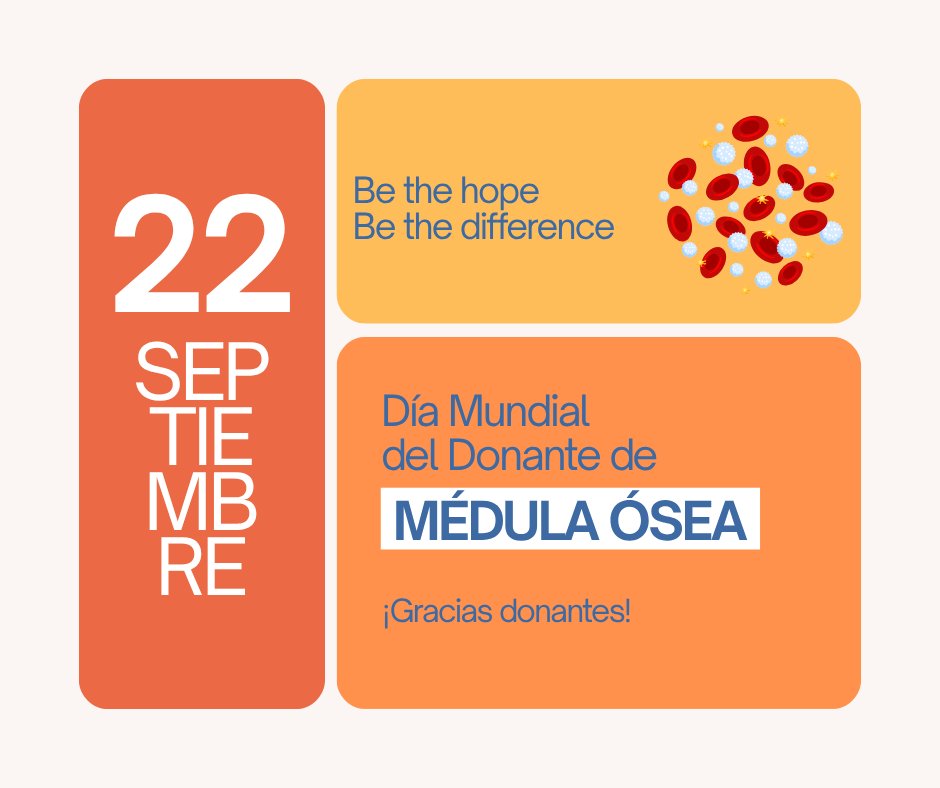 ONT_esp's tweet photo. 🧡#DíaMundialDelDonanteDeMédulaÓsea
ℹ️Desde este año, la World Marrow Donor Association ha decidido fijar una fecha única para celebrar el   @MarrowDonorDay
🗓️Se celebrará todos los 22 de septiembre
#DonaMédula🧡 #GraciasDonantes https://t.co/3M0PKl2D9A