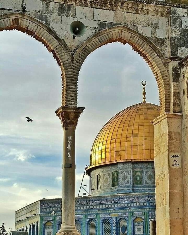 bij_jos's tweet photo. "ما زالَ في العينِ طيفُ القدسِ يجمعُنا
 لا الحُلمُ ماتَ ولَا الأحزانُ تُنسِينا!"
#المسجد_الأقصى 
#فلسطين 
#غزة
#gaza https://t.co/cwTfklBHkg
