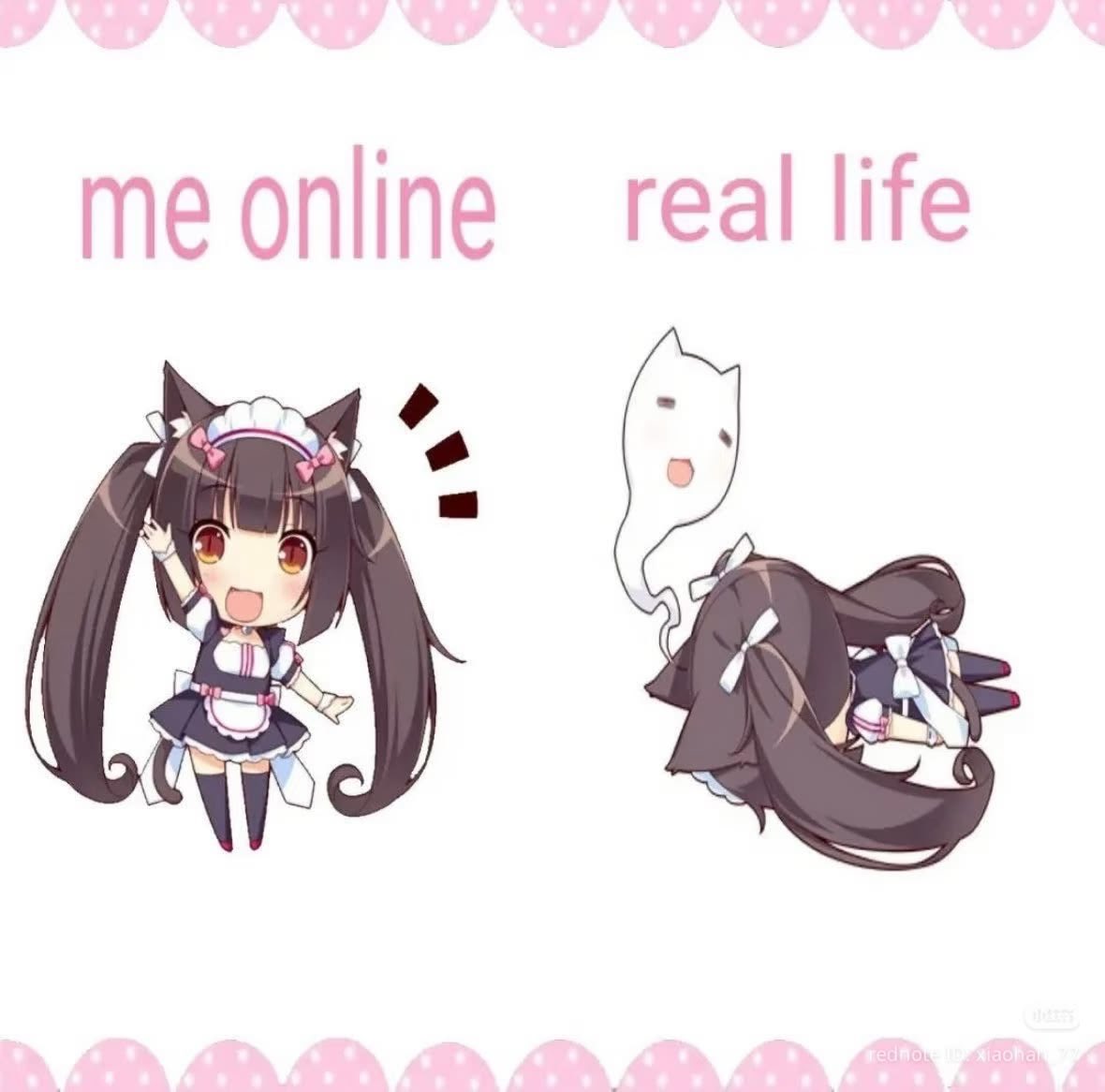 pawsatiu's tweet photo. https://t.co/YV7nxaNHDy