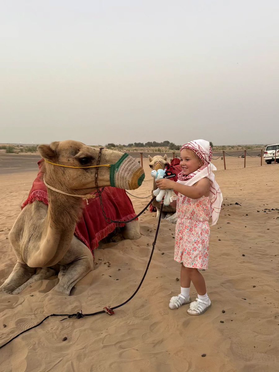 Selinmoon's tweet photo. Morning or evening desert safari? Choose morning for adventure and cooler temperatures, or evening for sunset views, BBQ dinner, and live entertainment. Which would you choose? https://t.co/0dkCR2ICdN