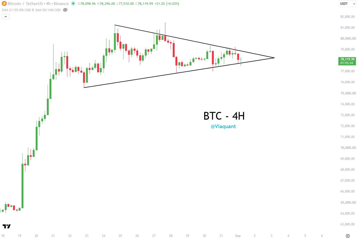 viaquant's tweet photo. bitcoin:native The flag guides the way... 🚩 https://t.co/W6Di7PbM9K