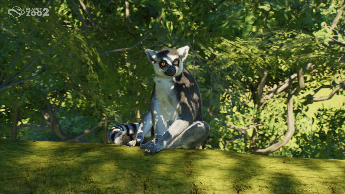 PlanetZooGame's tweet photo. Hayo Zookeepers,

The Planet Zoo 2 Zoopedia has been updated!

Check out the EIGHT animals we've just added: https://t.co/MF5V7dMpuG https://t.co/XQ6WSdk6k7