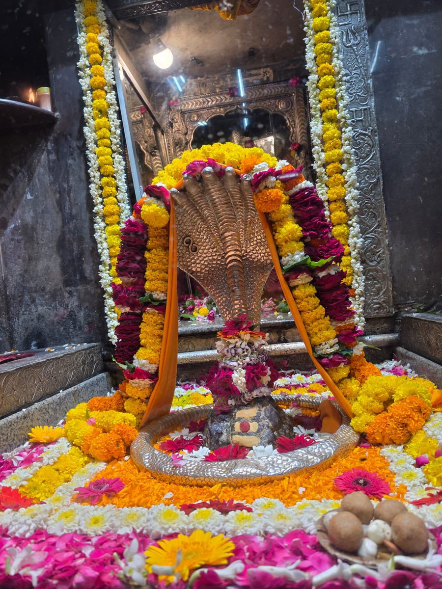 12Jyotirling's tweet photo. श्री ॐकारेश्वर ज्योतिर्लिंग संध्याकालीन आरती श्रृंगार | 01.09.2026

Shri Omkareshwar Jyotirlinga Evening Aarti Shringar | 01.09.2026 https://t.co/YTnvmaw66w