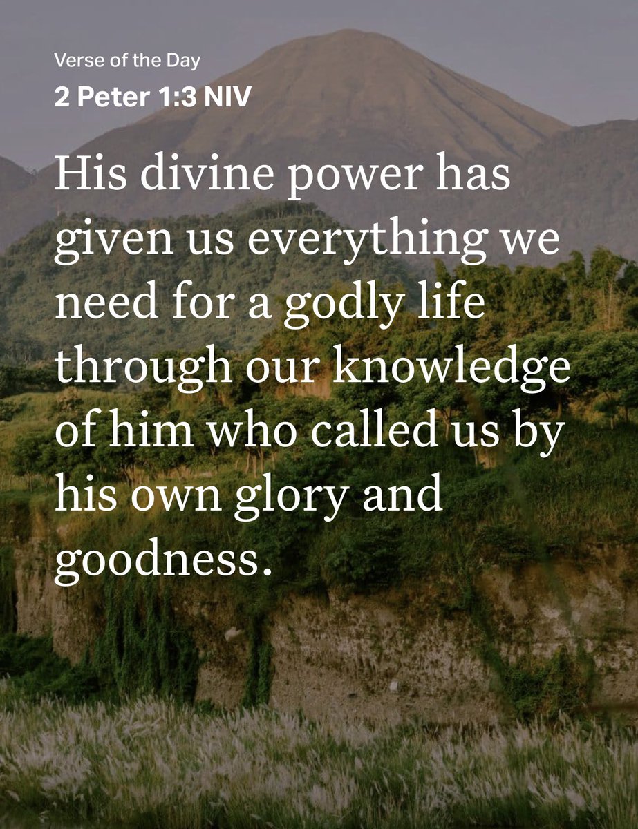 justpraisin's tweet photo. #truth #everythingweneed https://t.co/VKgfHV3C7u