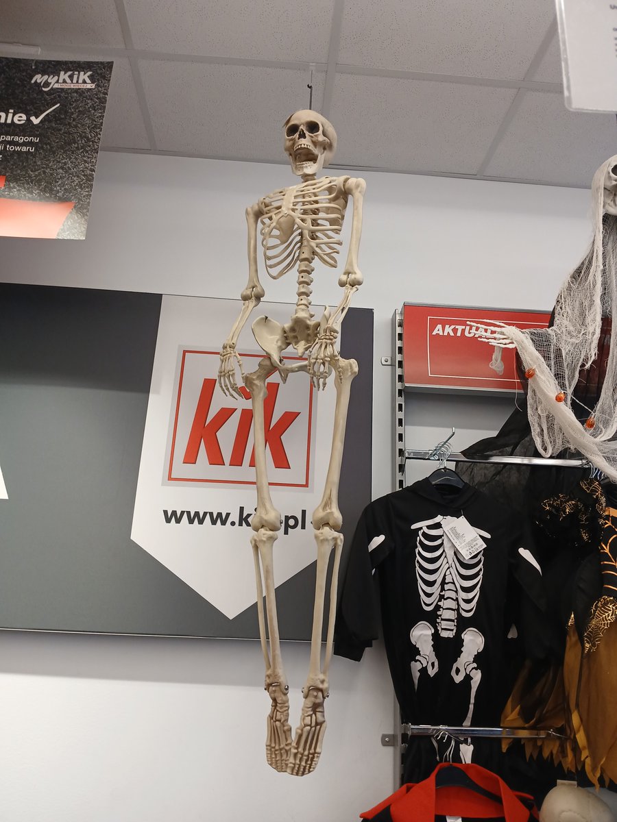 Johanka50okpl's tweet photo. KiK ma już jesień. https://t.co/pc7SNmYG2B