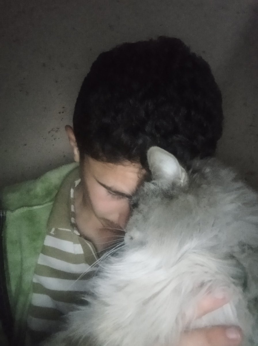 alialjbour29's tweet photo. I tried not to lose hope, but everyone has abandoned us. My cat's condition is worsening by the hour; I don't want to lose my little one. Please help me before it's too late.
https://t.co/miVRENlAXF https://t.co/3bdNXQiUSi
