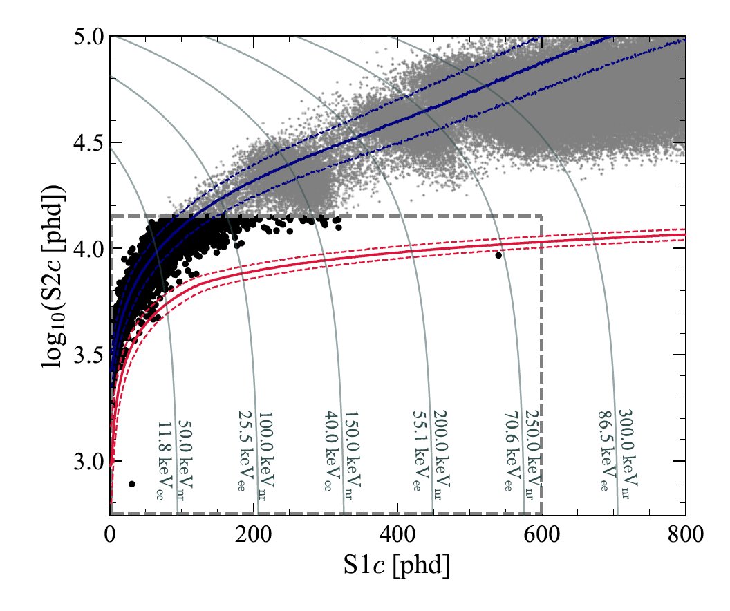 lzdarkmatter's tweet photo. Our new results are out! We have observed a single nuclear recoil in our detector that we find difficult to explain with our background model. Could it be a hint of dark matter? It’s far too early to say, but it’s certainly intriguing! #darkmatter https://t.co/FACAlcELls