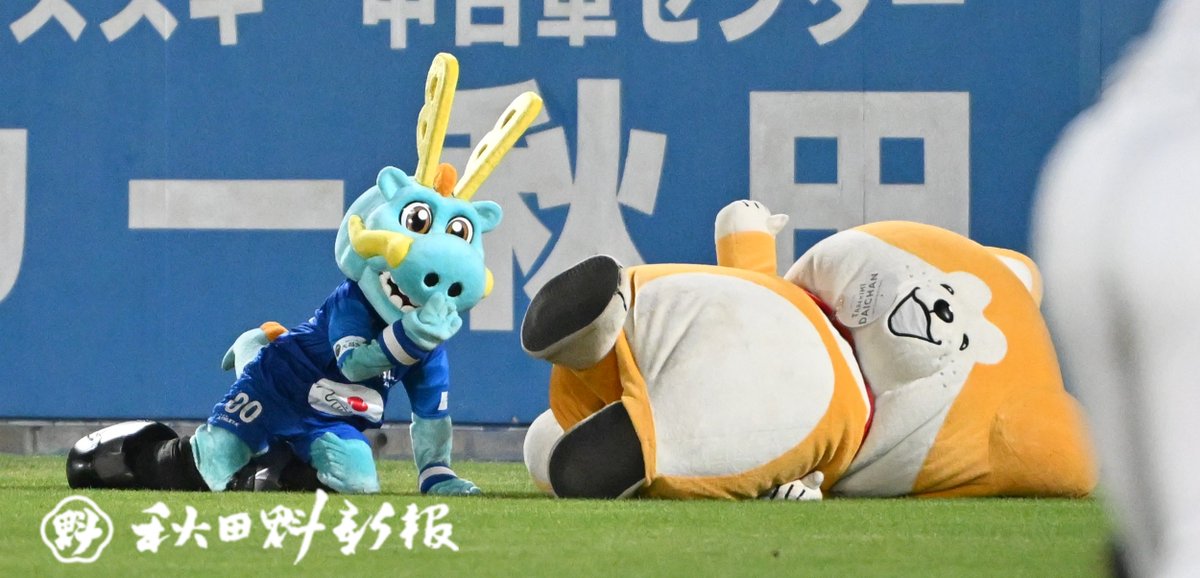 skgk_BBtansub's tweet photo. 昨晩こまちスタジアムではプロ野球楽天―オリックス戦が開催。美郷町出身の #伊藤樹 選手が好投し、大盛り上がりでした。
合間には #ブラウゴン や #ビッキー らによるかけっこが行われ、ブラウゴンは残念ながら転んだものの、他のキャラを救助する優しさを見せ、場内を盛り上げました。
#秋田魁新報 https://t.co/lmqqJGdYbV
