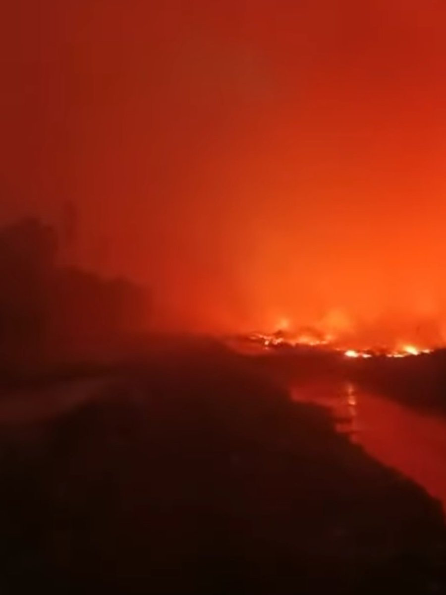 Top_Disaster's tweet photo. Huge wildfire burns in Ketapang Regency, West Kalimantan, Indonesia 🇮🇩 (01.09.2026) https://t.co/OnPQnczSVb