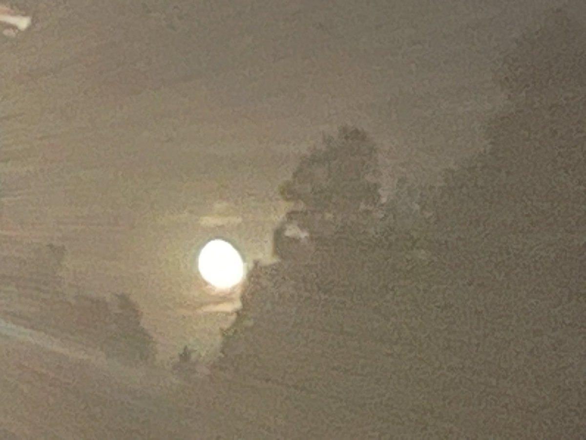 ajsmiley87's tweet photo. The moon was so bright with possibilities this morning.  
Bringing in September shining on you. A new day ✨ https://t.co/FDpkIFw75q