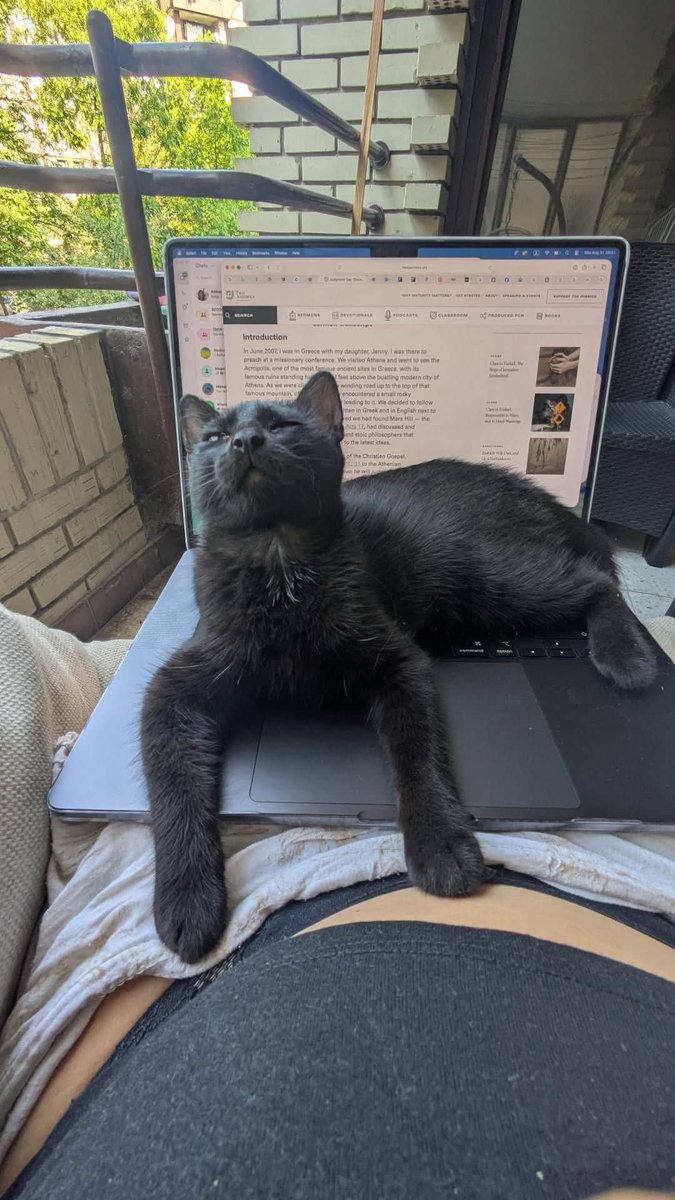 Lavanda27's tweet photo. Mara pita jeste li je zaboravili Danas je istekao privremeni smestaj u Beogradu Da nije Sanja, devojka koja je cuva, pristala da saceka jos malo bila bi vracena na kragujevacke ulice Dobila je revakcinu i ciscenje od parazita Treba obezbediti hranu Ne mogu da preuzimam troskove https://t.co/ppfvl9m2iy